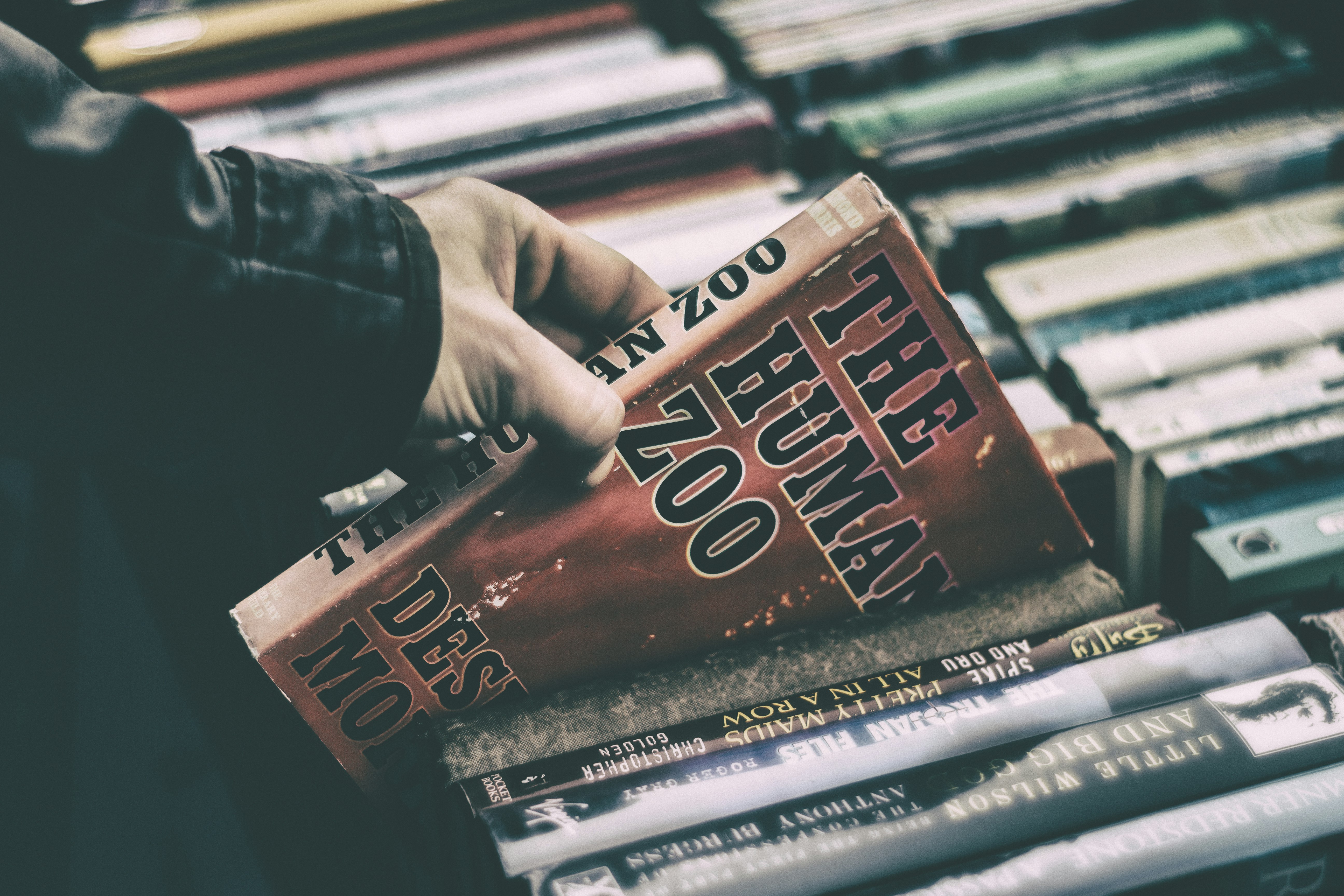 person holding The Human Zoo book